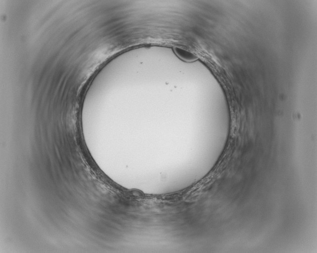 X0000088570098200706151656