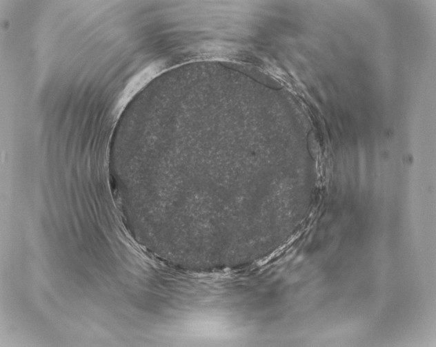 X0000088570099200706151656