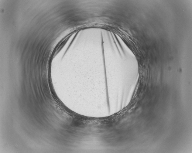 X0000088570100200706151656