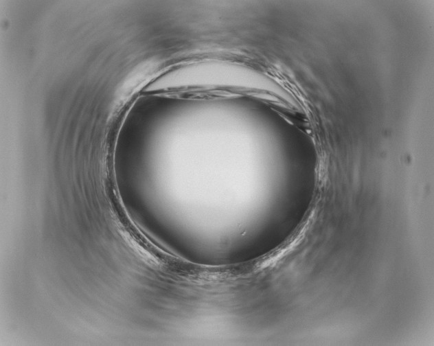 X0000088570101200706151656