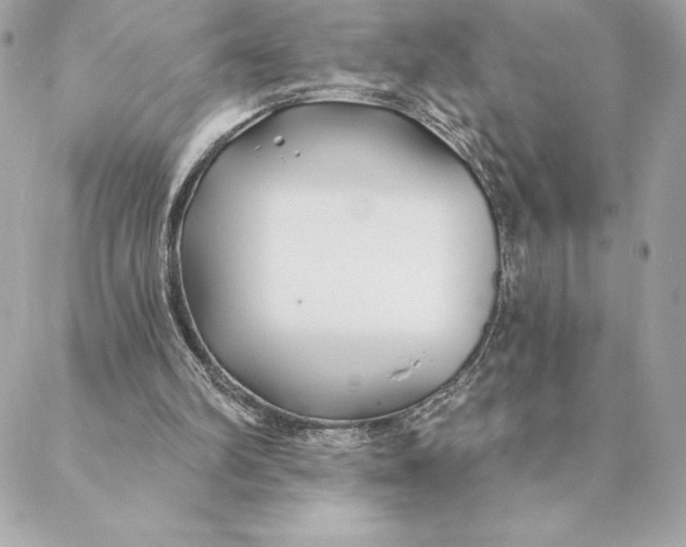 X0000088570102200706151656