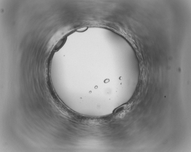 X0000088570103200706151656