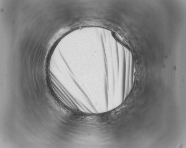 X0000088570104200706151656