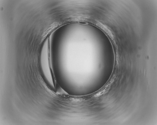 X0000088570105200706151656