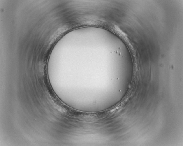 X0000088570106200706151656