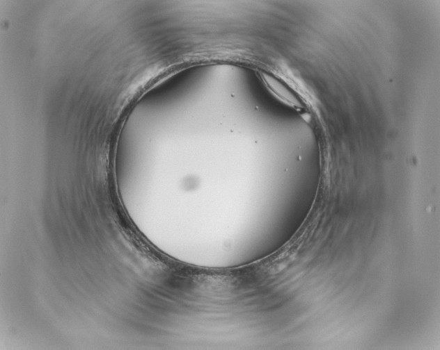 X0000088570107200706151656