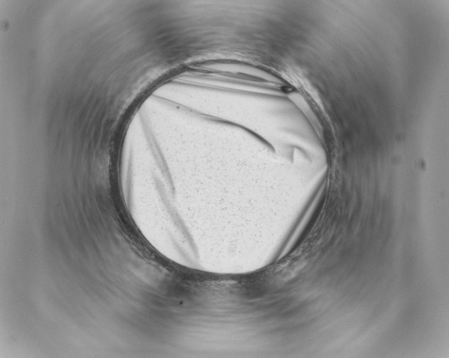 X0000088570108200706151656