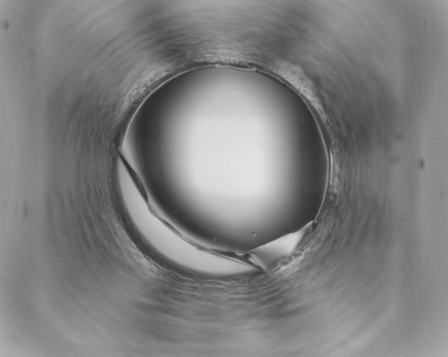 X0000088570109200706151656