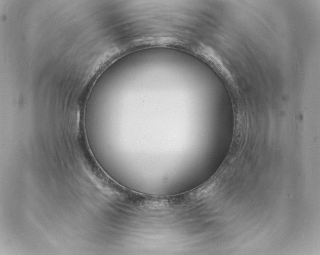 X0000088570110200706151656