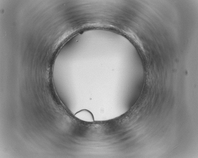 X0000088570111200706151656