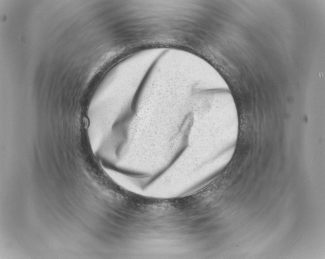 X0000088570112200706151656