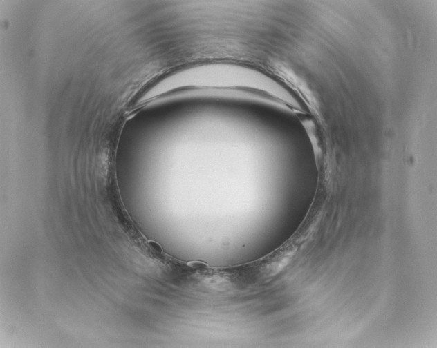 X0000088570113200706151656