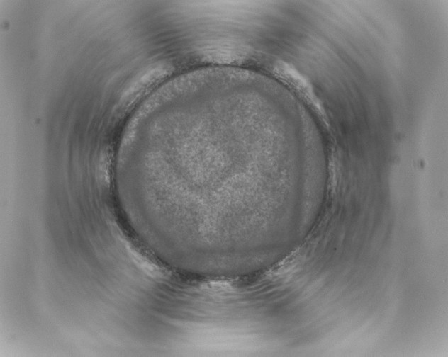 X0000088570114200706151656