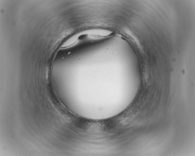 X0000088570115200706151656