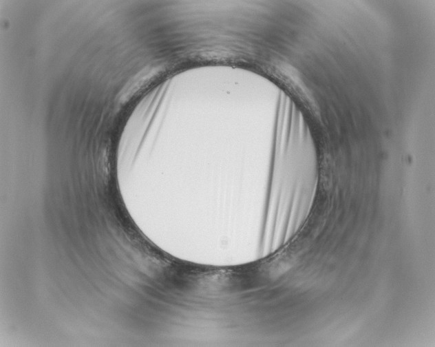 X0000088570116200706151656