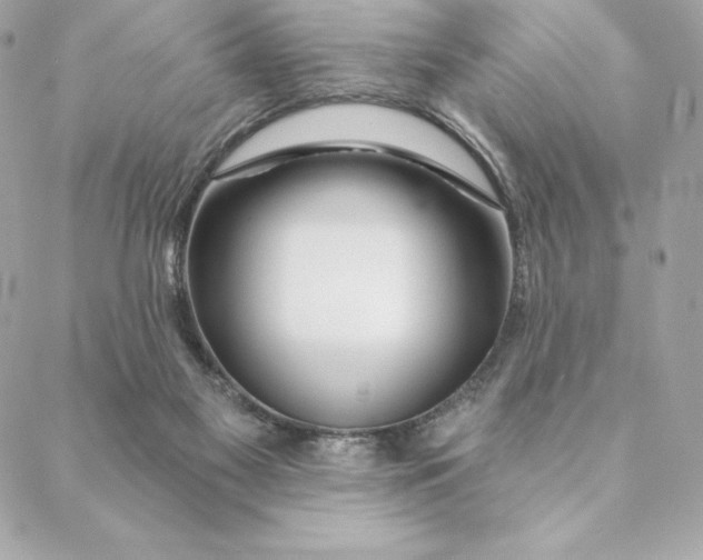 X0000088570117200706151656