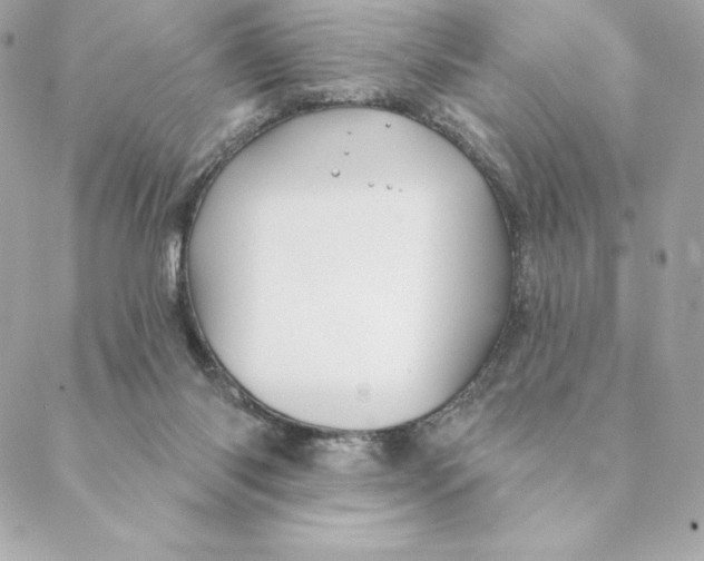 X0000088570118200706151656