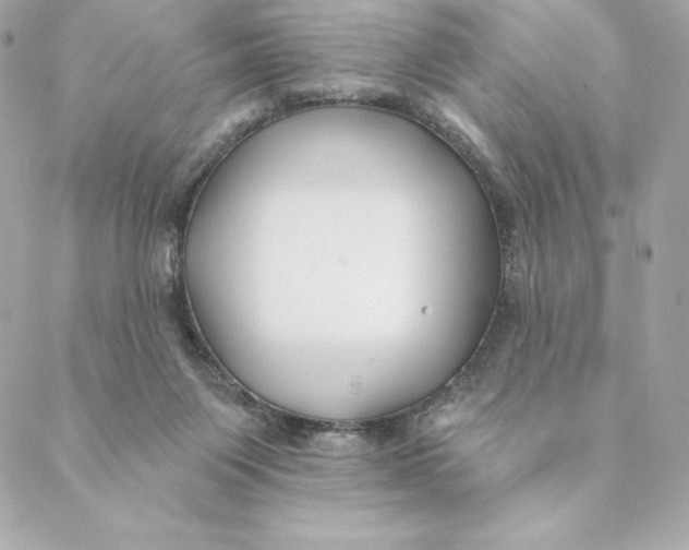 X0000088570119200706151656