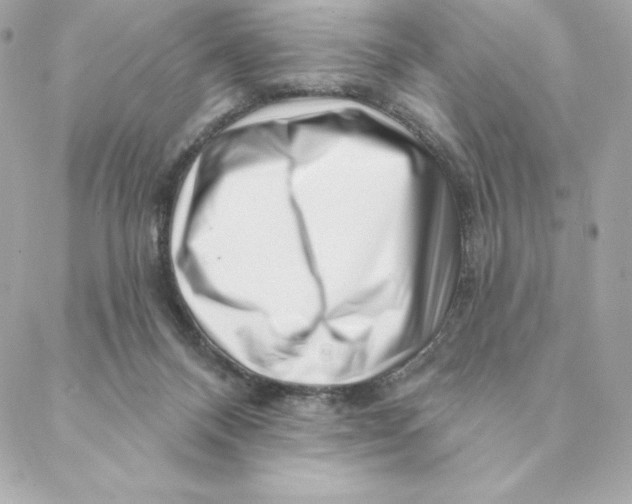 X0000088570120200706151656