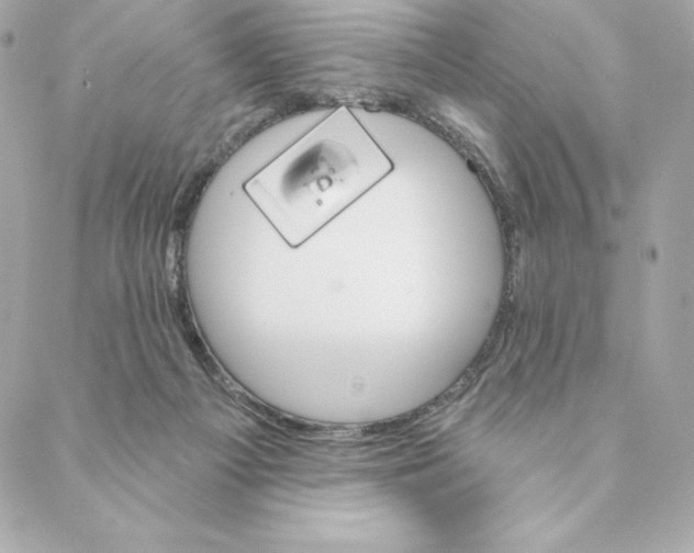 X0000088570121200706151656