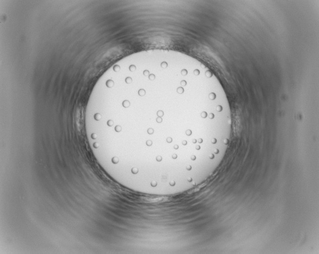 X0000088570122200706151656