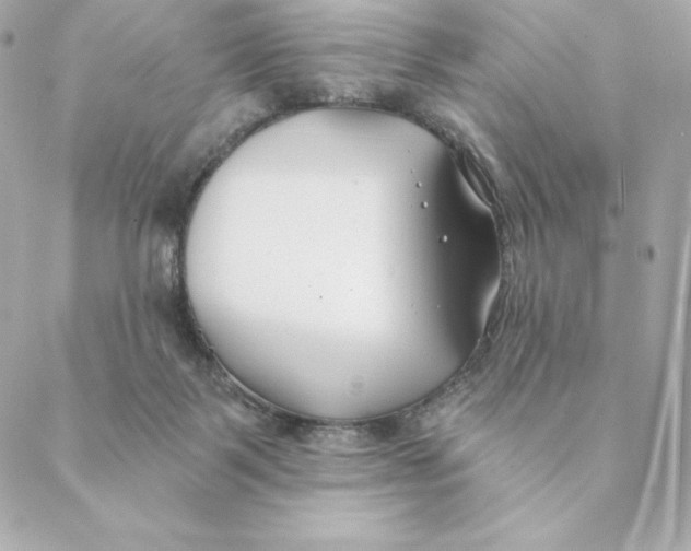 X0000088570123200706151656