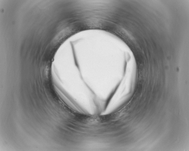 X0000088570124200706151656