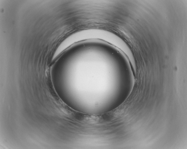 X0000088570125200706151656