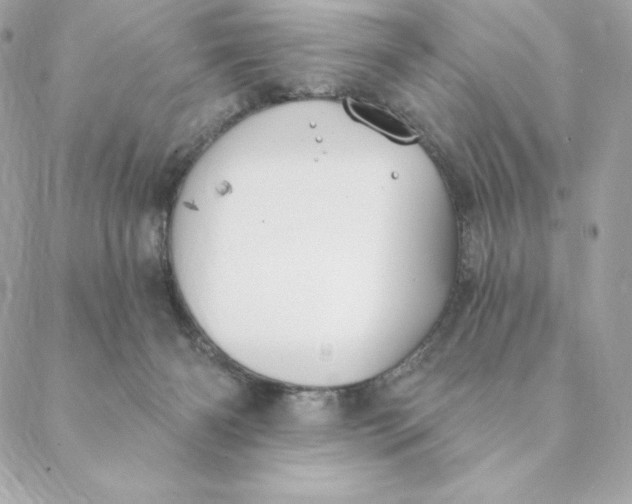 X0000088570126200706151656