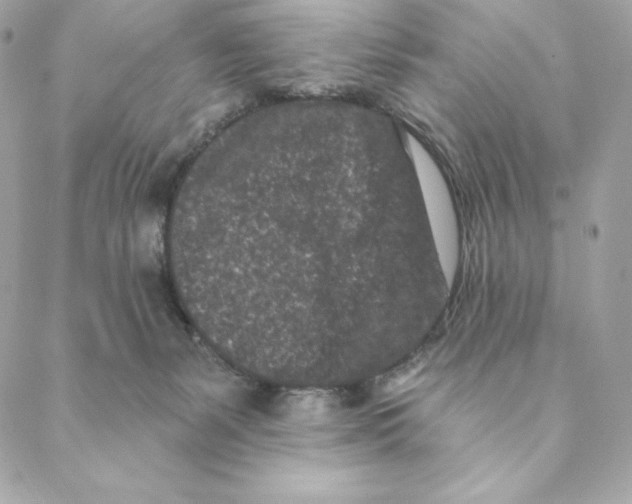 X0000088570127200706151656