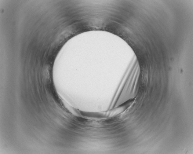 X0000088570128200706151656