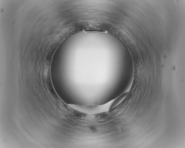 X0000088570129200706151656