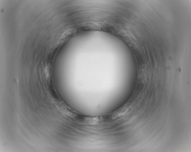 X0000088570131200706151656