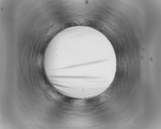 X0000088570132200706151656