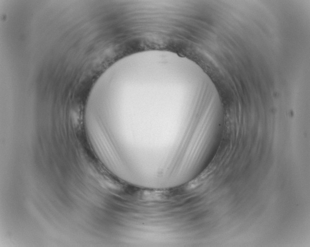 X0000088570134200706151656