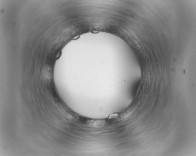 X0000088570135200706151656