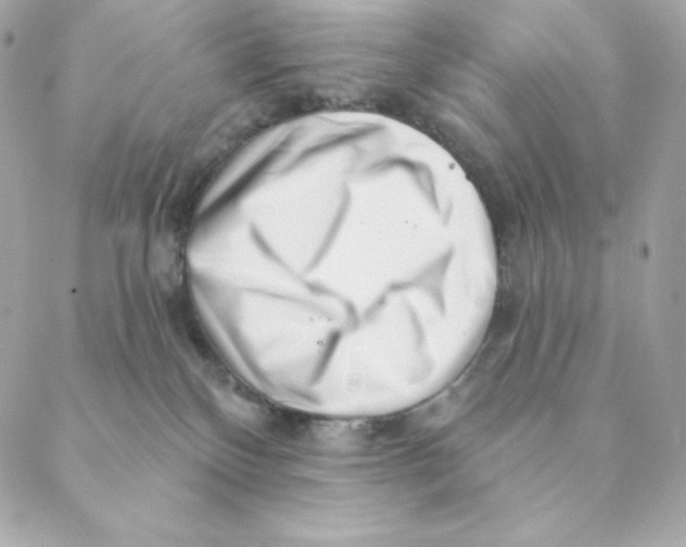 X0000088570136200706151656