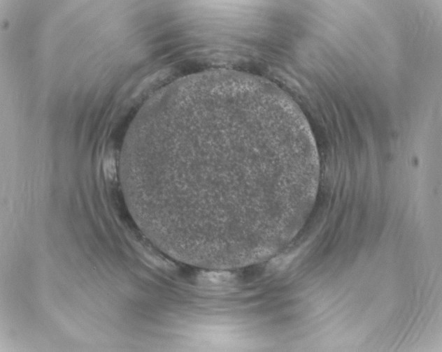 X0000088570137200706151656