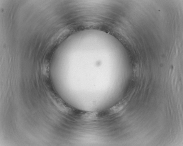 X0000088570138200706151656