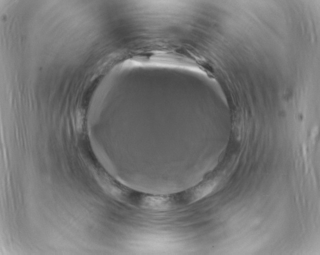 X0000088570139200706151656