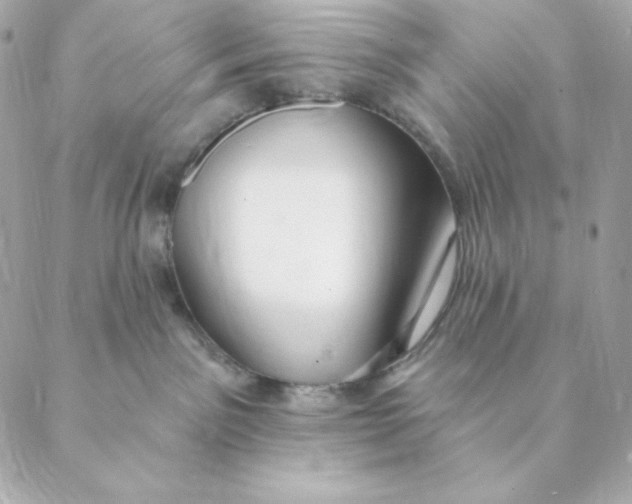 X0000088570141200706151656