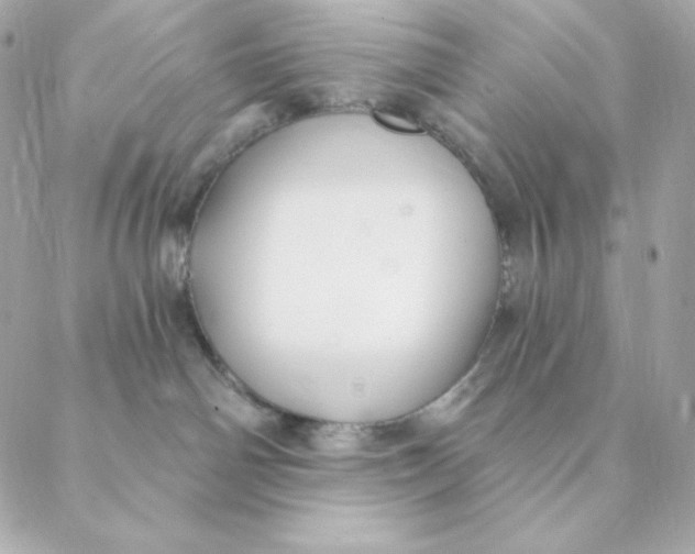 X0000088570142200706151656