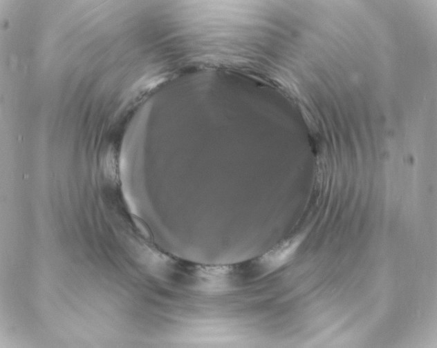 X0000088570143200706151656