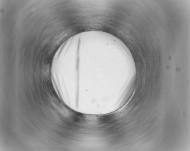 X0000088570144200706151656