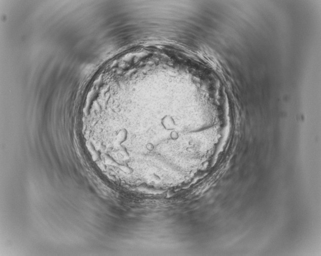 X0000088570145200706151655