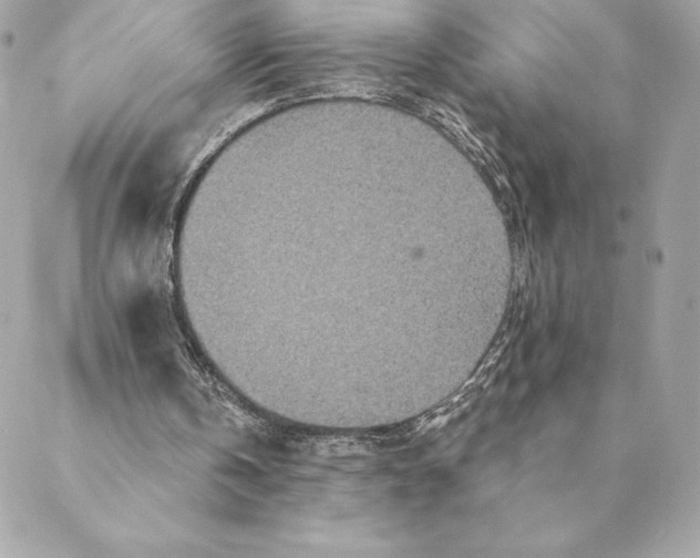 X0000088570146200706151655