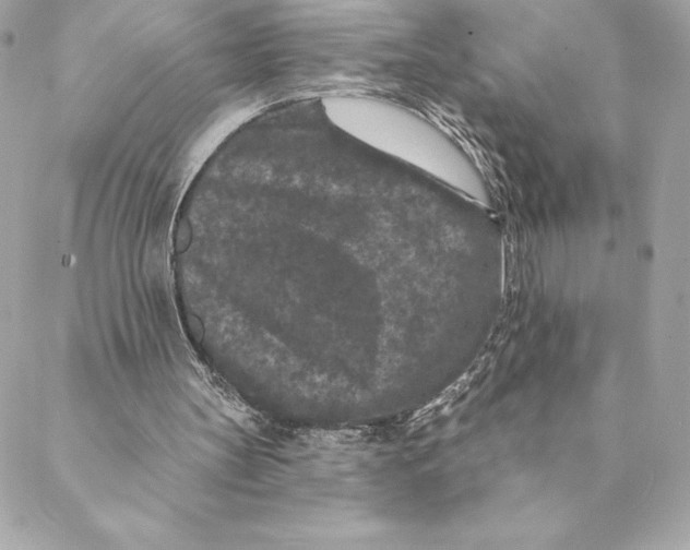 X0000088570147200706151655