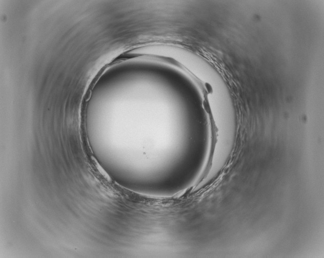 X0000088570148200706151655