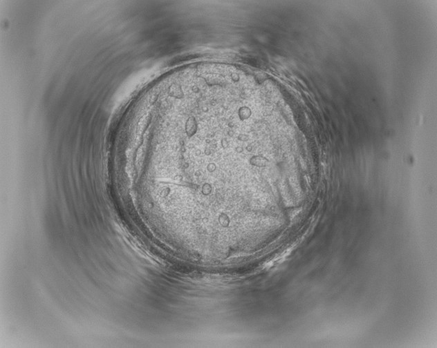 X0000088570149200706151655