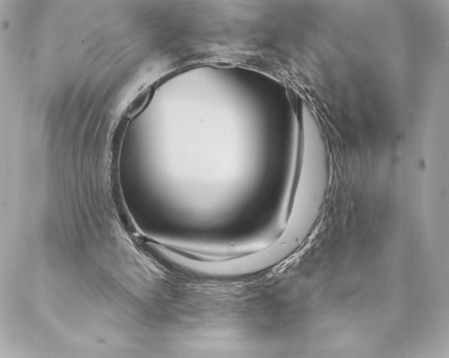 X0000088570150200706151655